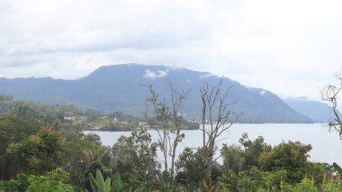 Plajdan gün boyunca mavi denizin atmosferi. Güzel manzara..