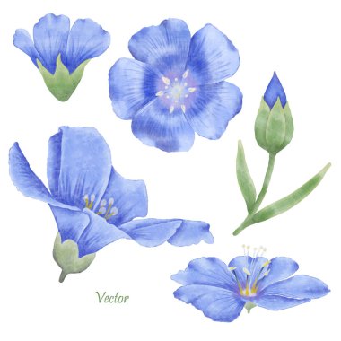 Bu güzel suluboya keten çiçeklerle tasarımlarınızı geliştirin. Bu botanik tasarımı ile baharın özünü yakala.