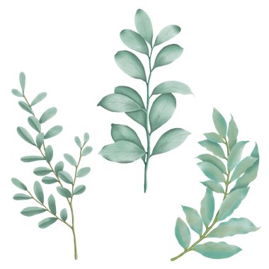 Bu güzel suluboya yapraklarla tasarımlarınızı geliştirin. Yaratıcı projeler için botanik Clipart indir.