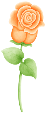 Tasarımlarınızı bu güzel suluboya çiçeklerle geliştirin. Bu botanik tasarımı ile baharın özünü yakala.