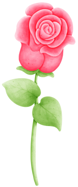 Tasarımlarınızı bu güzel suluboya çiçeklerle geliştirin. Bu botanik tasarımı ile baharın özünü yakala.