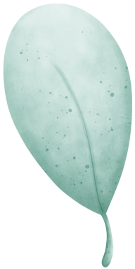 Yumuşak yeşil tonları olan şirin suluboya yaprak doğadan esinlenilmiş sanat ve dekor için mükemmel. Bu zarif çizim, yeşilliğin güzelliğini tuhaf ve organik bir tasarım ile vurgular..