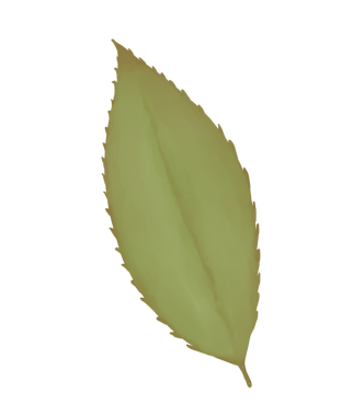 Bu tatlı suluboya kiraz çiçeklerine bir tutam bahar ekle! Davetiyeler, kartlar ve daha fazlası için mükemmel..