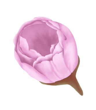 Bu tatlı suluboya kiraz çiçeklerine bir tutam bahar ekle! Davetiyeler, kartlar ve daha fazlası için mükemmel..