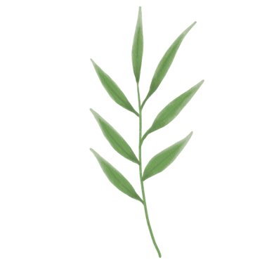 Bu güzel suluboya keten çiçeklerle tasarımlarınızı geliştirin. Bu botanik tasarımı ile baharın özünü yakala.