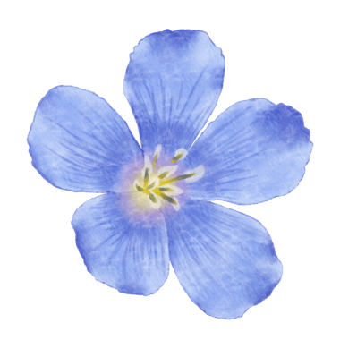 Bu güzel suluboya keten çiçeklerle tasarımlarınızı geliştirin. Bu botanik tasarımı ile baharın özünü yakala.