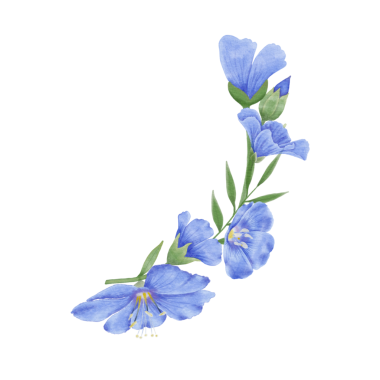 Bu güzel suluboya keten çiçeklerle tasarımlarınızı geliştirin. Bu botanik tasarımı ile baharın özünü yakala.