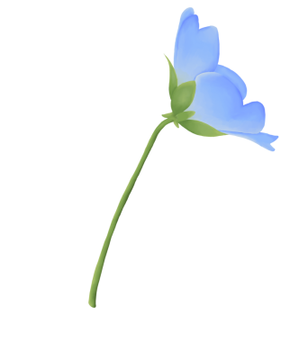 Bu suluboya bebek mavi gözleriyle tasarımlarınızı geliştirin. Bu botanik tasarımı ile baharın özünü yakala.