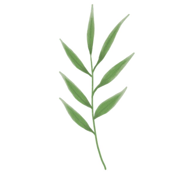 Bu güzel suluboya keten çiçeklerle tasarımlarınızı geliştirin. Bu botanik tasarımı ile baharın özünü yakala.