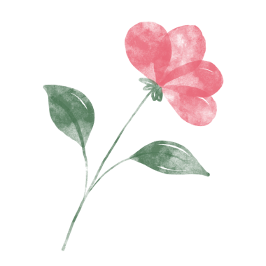 Narin pembe lalelerin yer aldığı bu el çizimi bahar çiçeğini indirin.