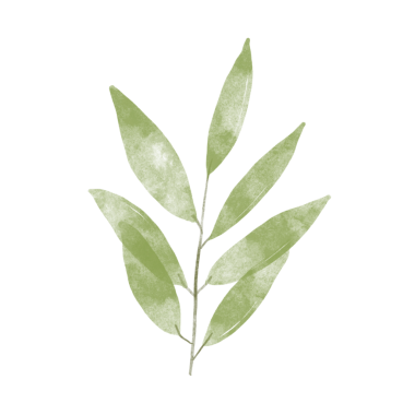 Bu güzel suluboya yapraklarla tasarımlarınızı geliştirin. Yaratıcı projeler için botanik Clipart indir.