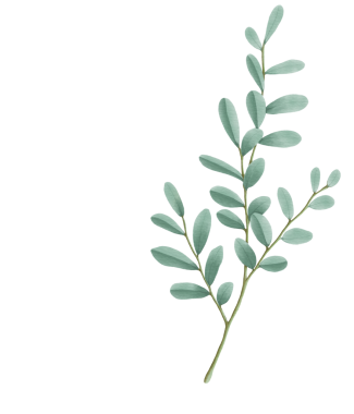 Bu güzel suluboya yapraklarla tasarımlarınızı geliştirin. Yaratıcı projeler için botanik Clipart indir.