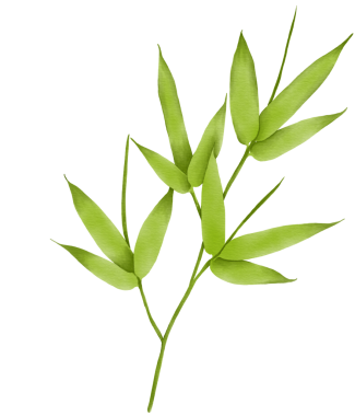 Bu güzel suluboya yapraklarla tasarımlarınızı geliştirin. Yaratıcı projeler için botanik Clipart indir.