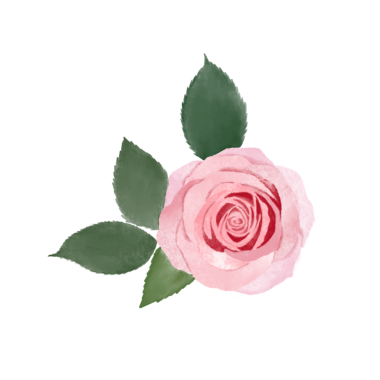 Narin pembe lalelerin yer aldığı bu el çizimi bahar çiçeğini indirin.