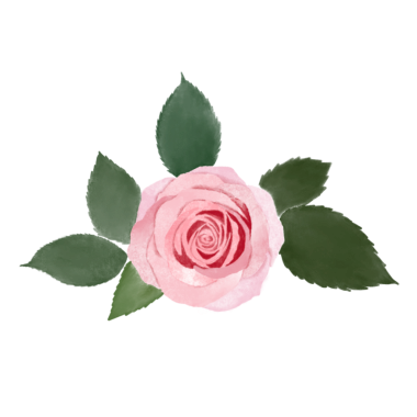 Narin pembe lalelerin yer aldığı bu el çizimi bahar çiçeğini indirin.