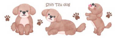 Shih Tzu Dog, suluboya tarzını farklı pozlar ve ifadelerle çizdi