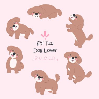 Shih Tzu Köpek Çizgi Filmi Farklı Pozisyonlar ve İfadelerle Şirin Düz Tasarım