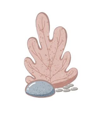 Mutlu yüzlü mercan tırmanışı ve deniz yaşamı ve su altı çizgi film projeleri için mükemmel dekorasyonlar.