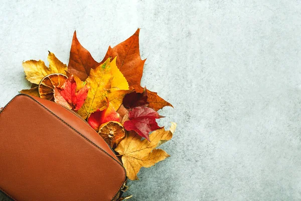 茶色のバッグのトップビューには さまざまな秋の葉があり グラウンジの背景にテキストのスペースがあります 秋のコンセプト背景 — ストック写真