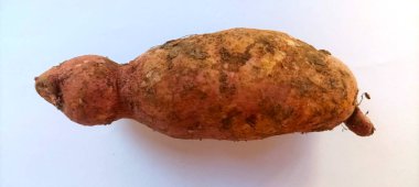 Kaba kahverengi derisini ve doğal dokusunu gözler önüne seren taze bir kasava yumrusunun yakın çekimi. Yemek tarifleri ve yemek malzemeleri için mükemmel. Gıda blogcuları ve tarif web siteleri için ideal.