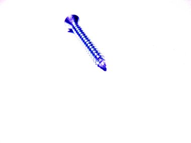 White background isolated titanium color screws.