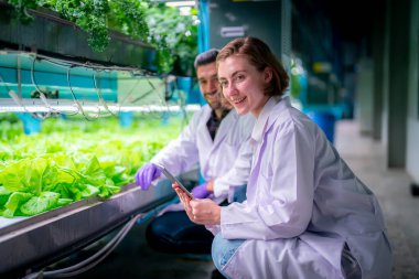 Sera Hidrofonik Dikey Çiftlik Eko Sistemi 'nin içinde. Salatayı denetleyen işçi, kadın ve erkek tarım araştırmacısı serada çalışan şehir hidroponiği çiftliği..