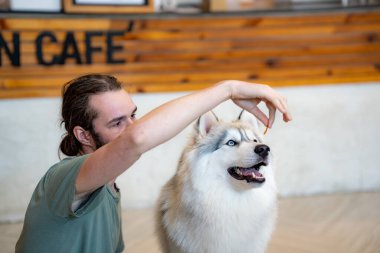 Köpeğiyle içeride eğlenen genç bir adam. 