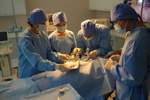 Chirurdzy Pracujący Wewnątrz Sali Operacyjnej — Zdjęcie stockowe