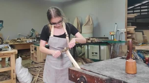 Petite Entreprise Belle Jeune Femme Travailleuse Dans Atelier Meubles — Video