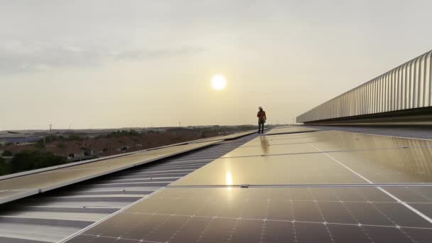 技术太阳能电池 工程师检查安装太阳能电池在工厂屋顶上 技术员检查太阳能电池板的维修情况 — 图库视频影像