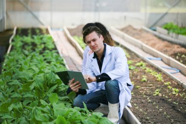 Bilim adamı analiz için hidrofonik sebze örneği topluyor..