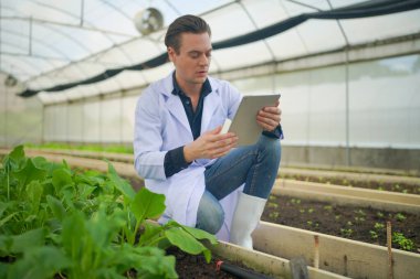 Bilim adamları seradaki organik sebzeleri tarımsal teknoloji kavramını inceliyor.
