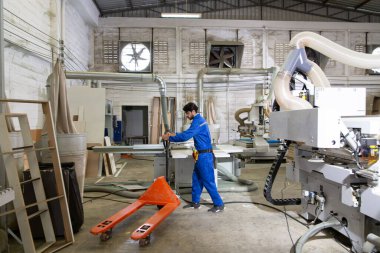 Ahşap fabrikasında çalışan yakışıklı bir marangoz.