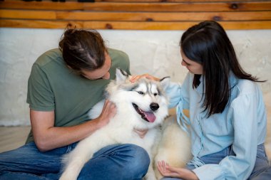 Evcil köpeği evde olan genç bir kadın.