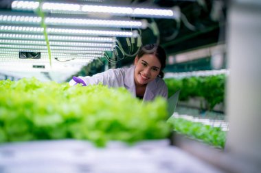 Sera Hidrofonik Dikey Çiftlik Eko Sistemi 'nin içinde. Salatayı denetleyen işçilerle birlikte şehir hidroponiği çiftliği. 