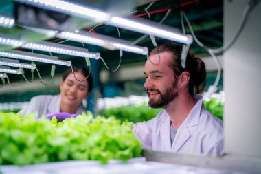 Sera Hidrofonik Dikey Çiftlik Eko Sistemi 'nin içinde. Salatayı denetleyen işçi, kadın ve erkek tarım araştırmacısı serada çalışan şehir hidroponiği çiftliği..