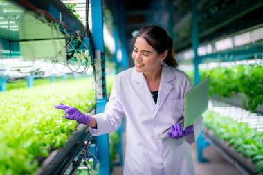 Sera Hidrofonik Dikey Çiftlik Eko Sistemi 'nin içinde. Salatayı denetleyen işçilerle birlikte şehir hidroponiği çiftliği. 