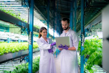 Sera Hidrofonik Dikey Çiftlik Eko Sistemi 'nin içinde. Salatayı denetleyen işçi, kadın ve erkek tarım araştırmacısı serada çalışan şehir hidroponiği çiftliği..