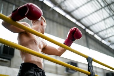 Spor salonunda ya da spor salonunda çapraz eğitim ekipmanları üzerinde egzersiz yapan genç aktif sporcu