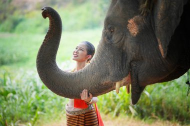 Ormanda fil başında duran genç bir kadının portresi.
