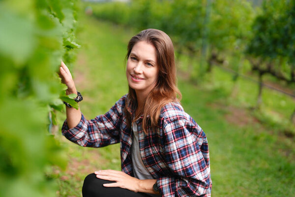 Female Farmer Checking Crop of Grapes on Ecological Farm 