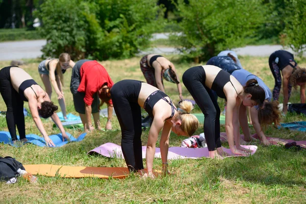 Group Young Women Doing Morning Exercises Carimates City Park July — Stock Photo, Image