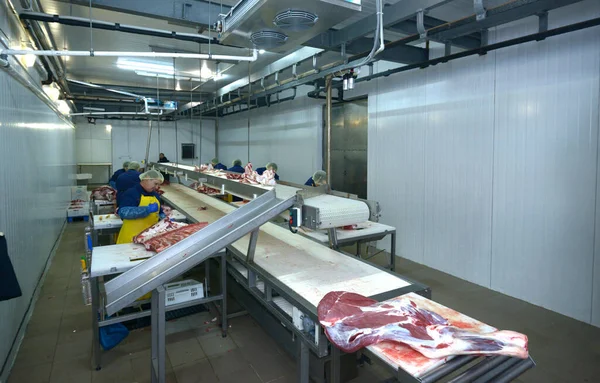 Sala Corte Carne Açougueiros Trabalhando Transportador Com Pedaços Carne Abril — Fotografia de Stock