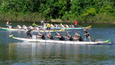 Kürek çeken kürekçiler nehirde. Amatörler arasında Kyiv Oblast şampiyonası. 25 Mayıs 2019. Kyiv, Ukrayna