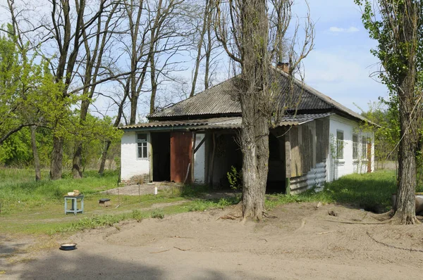 古い農村部の家庭を放棄し 家は庭を無視した ウクライナのチェルカッシー オブラストのカトラン村 — ストック写真