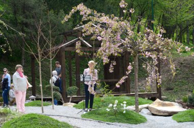 Woman musician playing shakuhachi under blooming sacura tree, city park. May 11, 2019. Gryshko Botanical garden. Kyiv, Ukraine