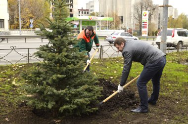 Şehir yeşilliği. İnsanlar şehir parkında kürek kullanarak çalı çırpı eken çevreciler. 20 Ekim 2021. Kyiv, Ukrayna