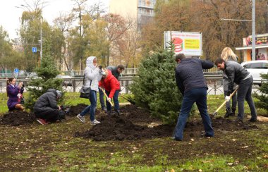 Şehir yeşilliği. İnsanlar şehir parkında kürek kullanarak çalı çırpı eken çevreciler. 20 Ekim 2021. Kyiv, Ukrayna