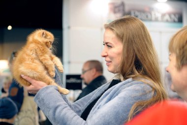 Tahmini cins. Masanın üzerinde duran safkan bir kedi, elinde rengini ve oranını tahmin eden bir yargıç. 4 Mart 2018. Kiev, Ukrayna