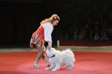 Kadın sanatçı ve iyi eğitilmiş köpekler Ukrayna Ulusal Sirki 'nin ringinde gösteri yapıyorlar. 10 Haziran 2015. Kyiv, Ukrayna